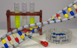 高校生物がおもしろい