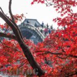 春夏秋冬、いつでかけてもおすすめの錦帯橋と秋吉台