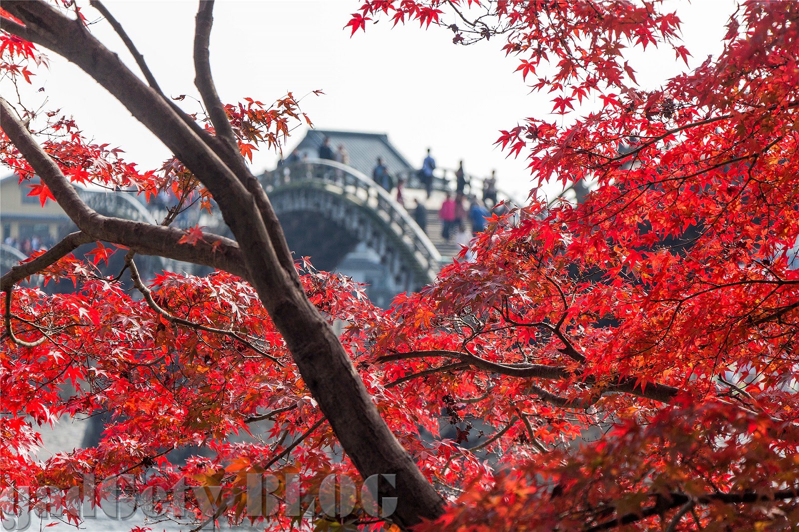 春夏秋冬、いつでかけてもおすすめの錦帯橋と秋吉台