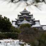 寒い朝は憂鬱だけど、雪が降るとテンションあがる♪