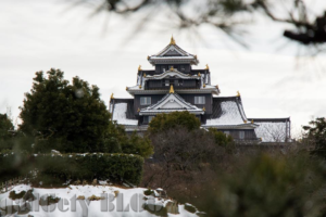 寒い朝は憂鬱だけど、雪が降るとテンションあがる♪