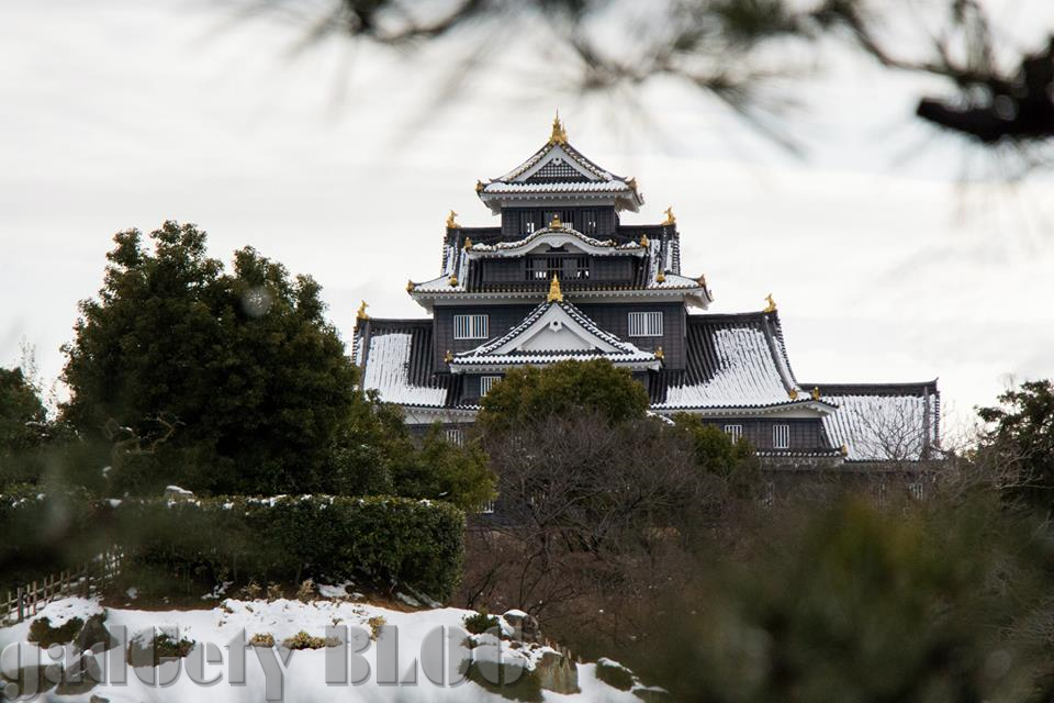 寒い朝は憂鬱だけど、雪が降るとテンションあがる♪