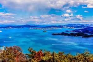 瀬戸内の桜はみたことありますか？