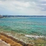 沖縄の珊瑚を一番軽視しているのはウチナンチュだ！