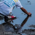 地方創生という言葉は好きではないけれど、田舎に活気が戻るとやっぱり気持ちがいい