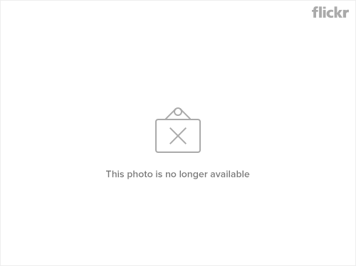 AsusのZenWatchの発売時期と値段が決定したようです