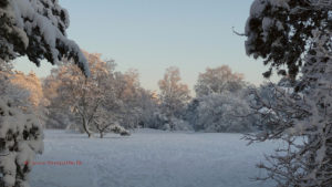 町役場は寒波対策と選挙対応で大忙し？